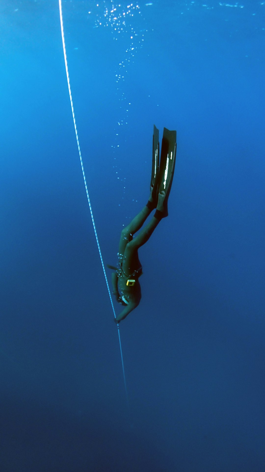 Section visual
